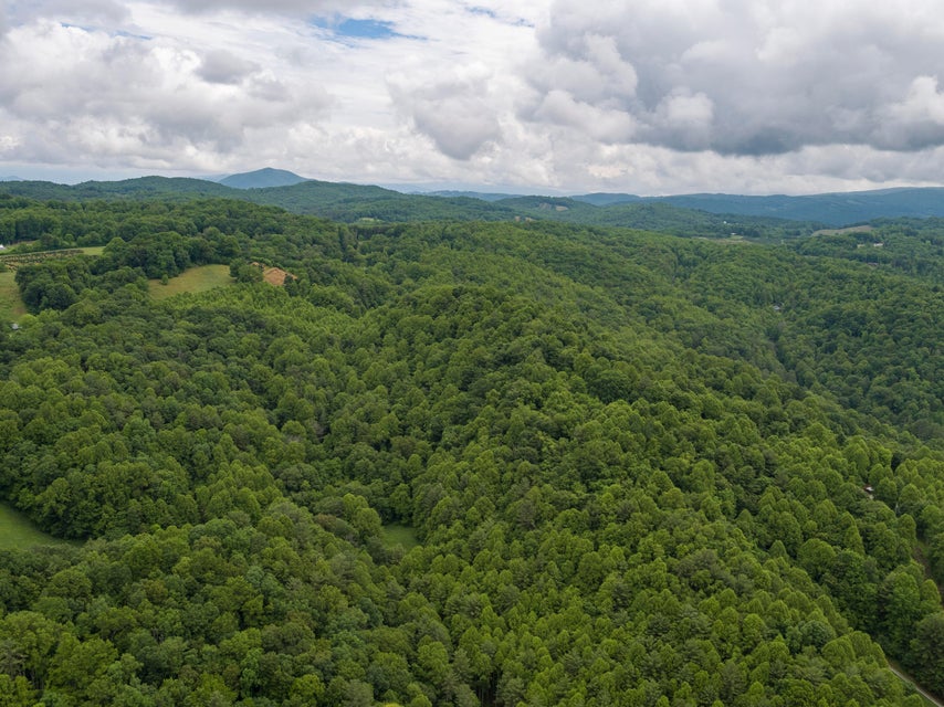 Photo #50: 310 Miller Hollow Road