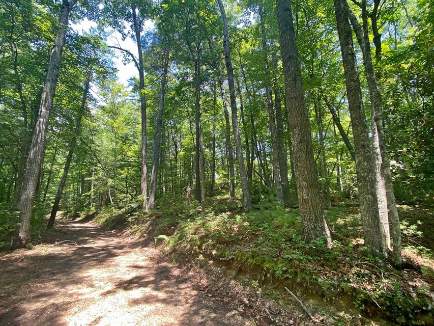 Photo #5: Tbd Rhea Lane