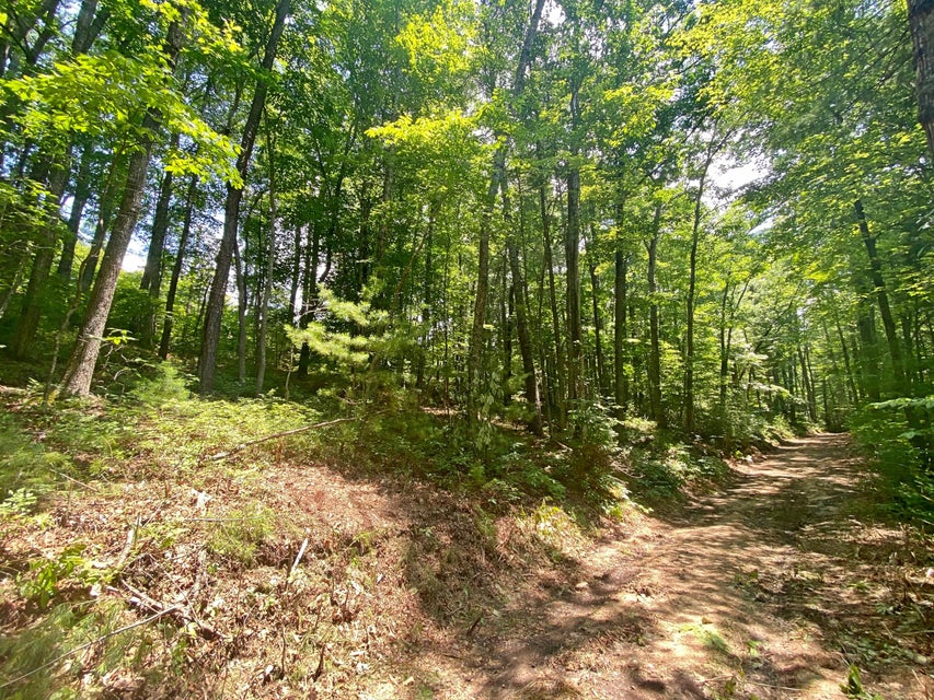 Photo #6: Tbd Rhea Lane