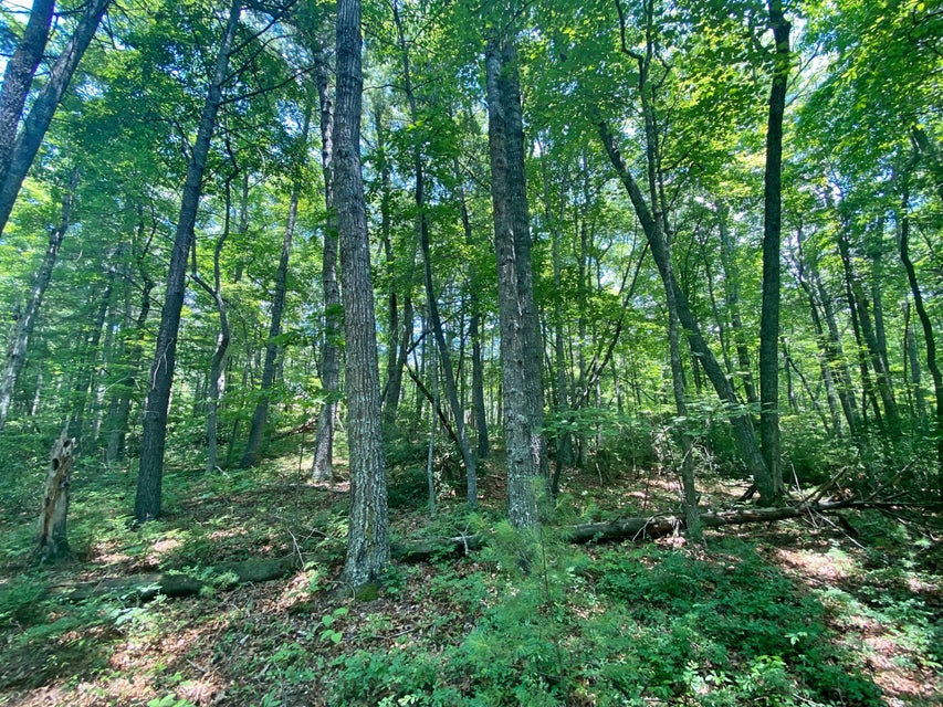 Photo #7: Tbd Rhea Lane