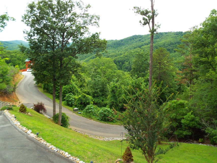 Photo #46: 1036 Street Of Dreams