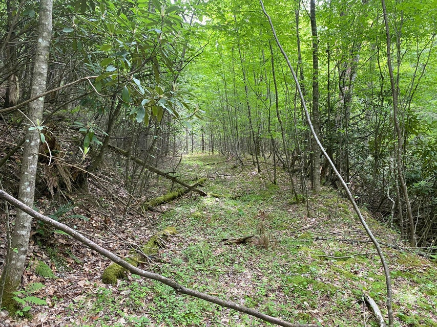 Photo #11: Tbd Tobacco Road