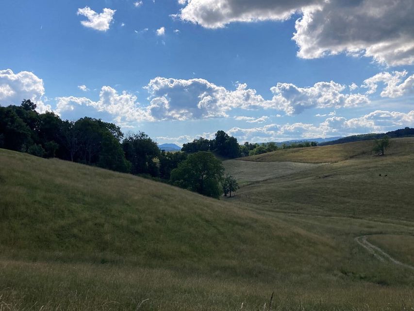Photo #4: 683 Johnston Road