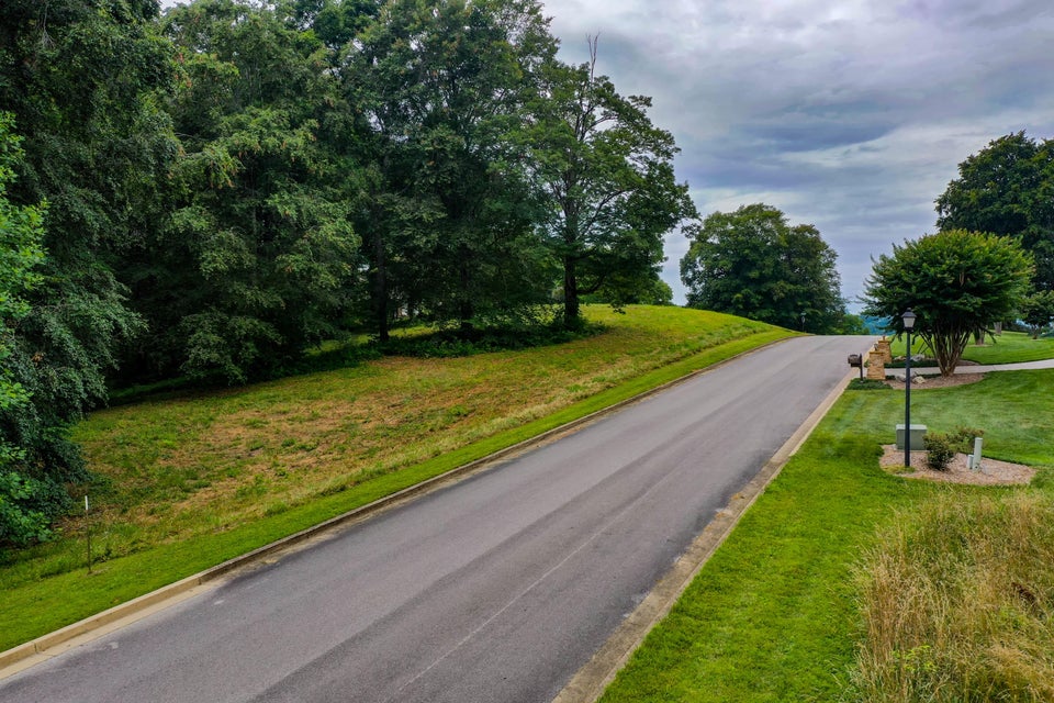 Photo #21: Lt 17 Chimney Top Lane