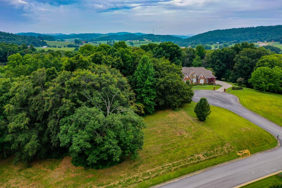 Photo #7: Lt 17 Chimney Top Lane