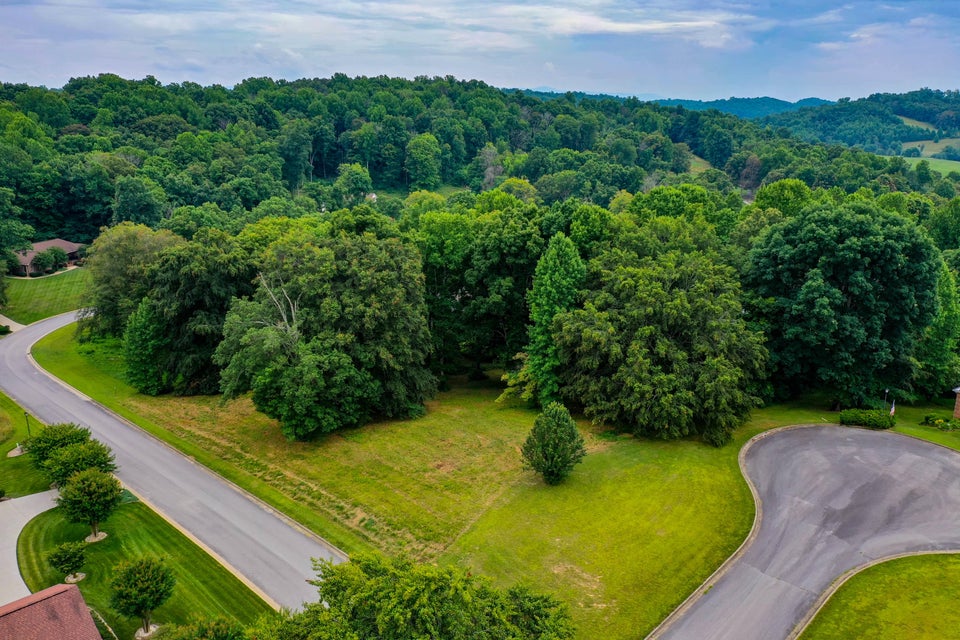 Photo #3: Lt 17 Chimney Top Lane