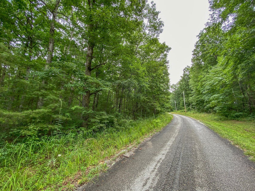 Photo #3: Lot 757 David Crockett Road