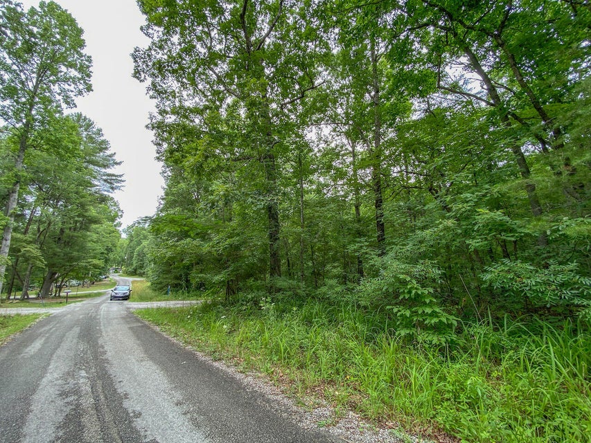 Photo #4: Lot 757 David Crockett Road