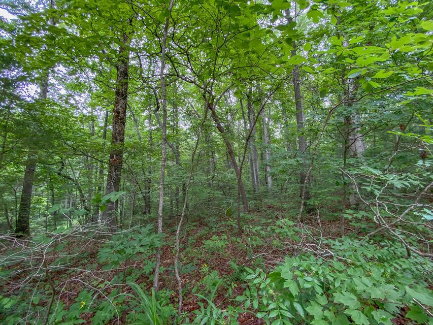Photo #1: Lot 758 David Crockett Road