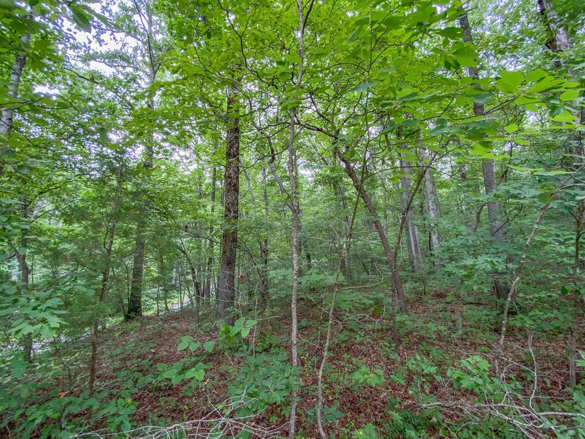 Photo #2: Lot 758 David Crockett Road