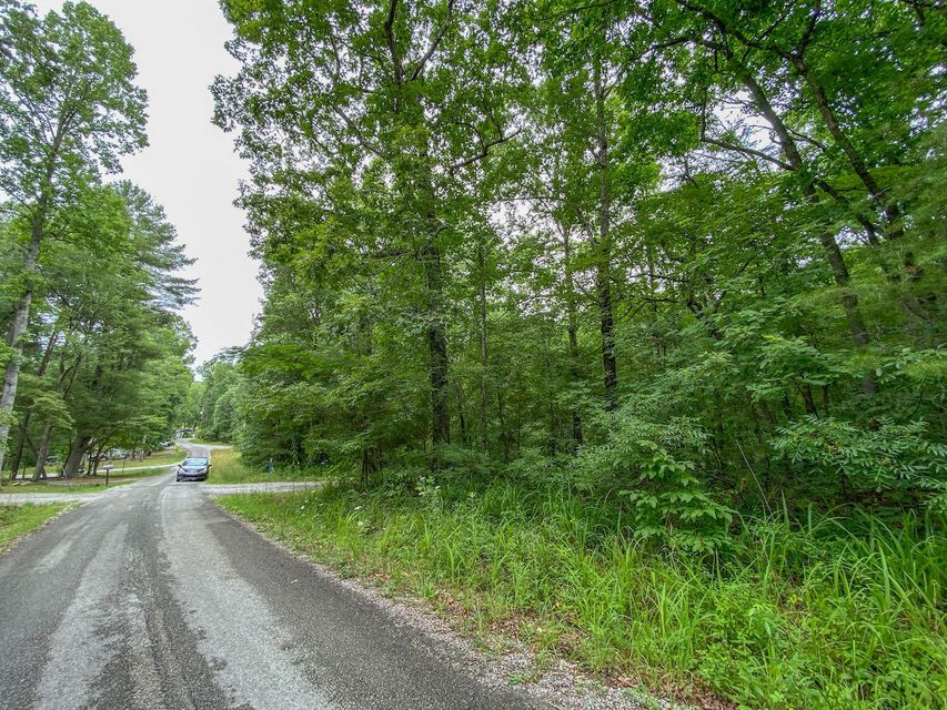 Photo #4: Lot 758 David Crockett Road