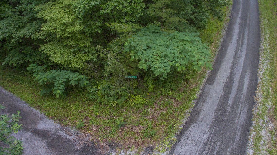 Photo #5: Lot 758 David Crockett Road