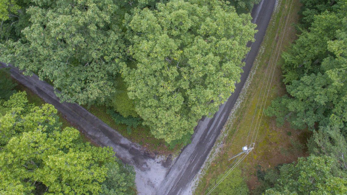 Photo #6: Lot 758 David Crockett Road