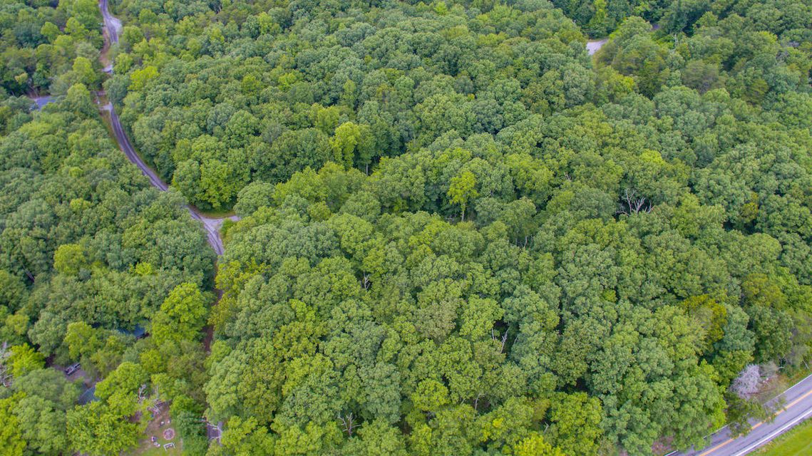Photo #9: Lot 758 David Crockett Road