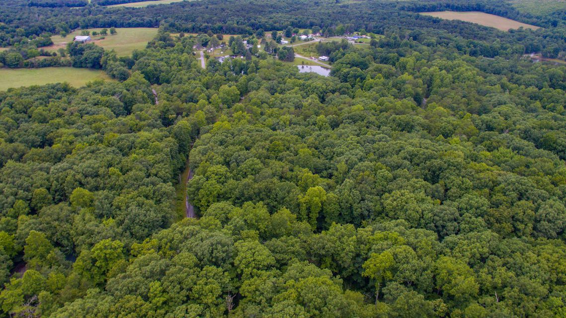 Photo #10: Lot 758 David Crockett Road