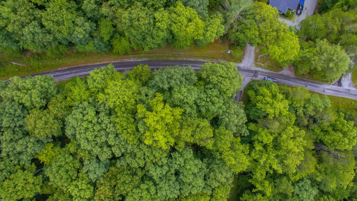 Photo #13: Lot 758 David Crockett Road