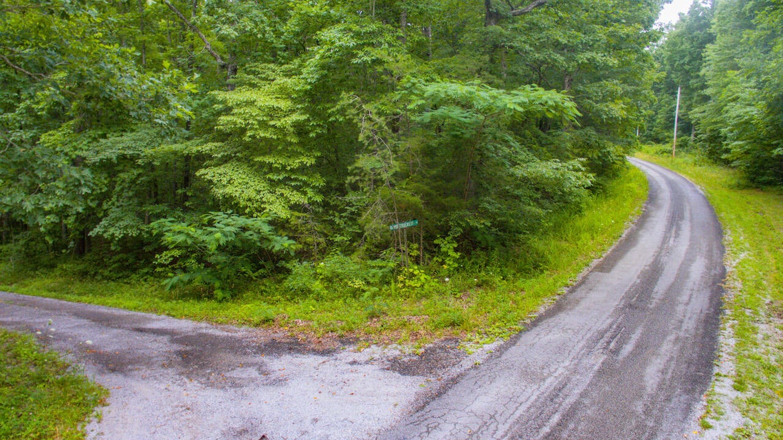 Photo #14: Lot 758 David Crockett Road