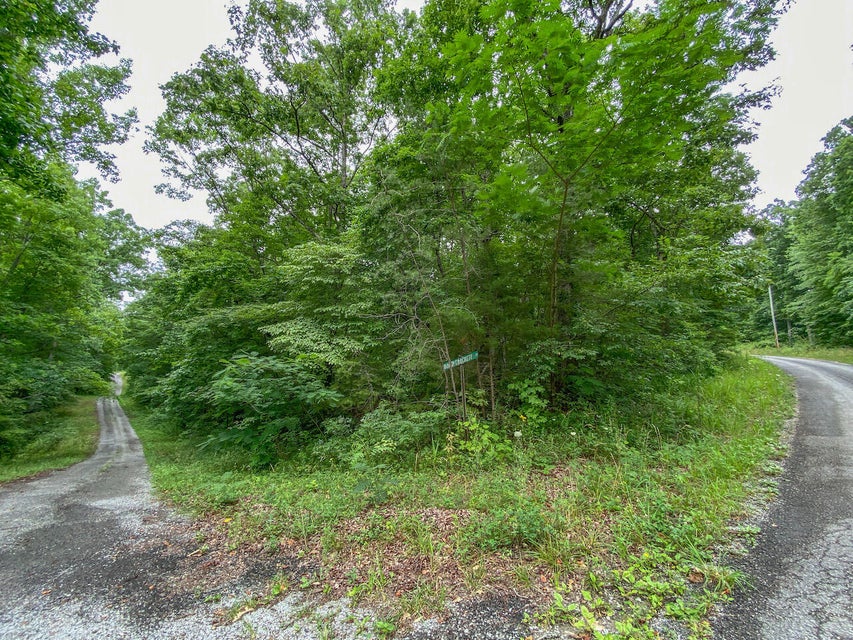 Photo #15: Lot 758 David Crockett Road