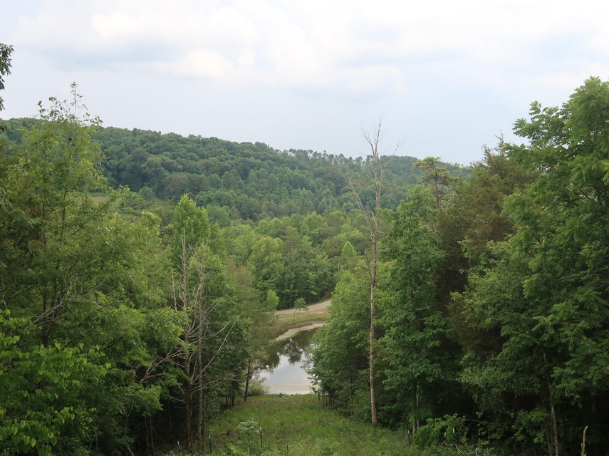 Photo #27: 259 Cedar Valley Rd Road