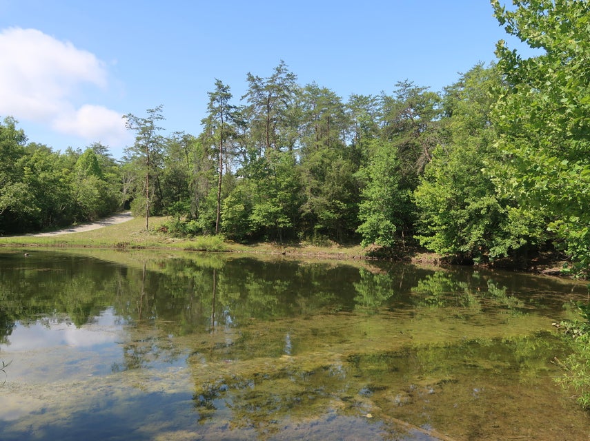 Photo #28: 259 Cedar Valley Rd Road