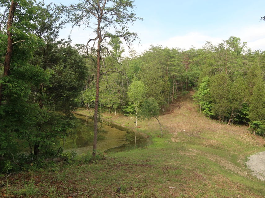 Photo #29: 259 Cedar Valley Rd Road