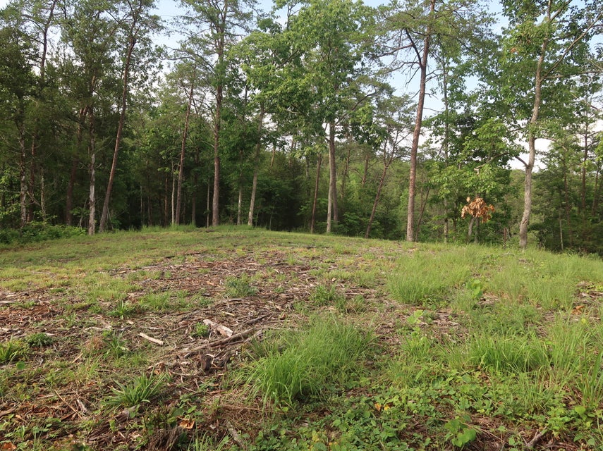 Photo #32: 259 Cedar Valley Rd Road