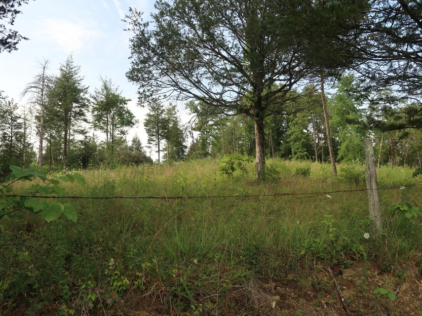 Photo #34: 259 Cedar Valley Rd Road