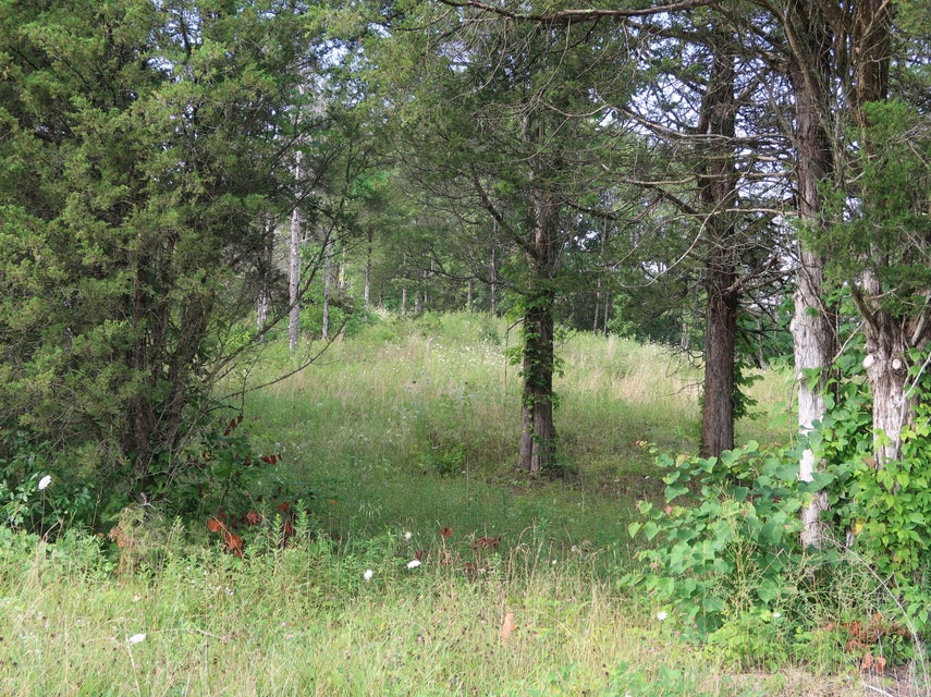 Photo #36: 259 Cedar Valley Rd Road
