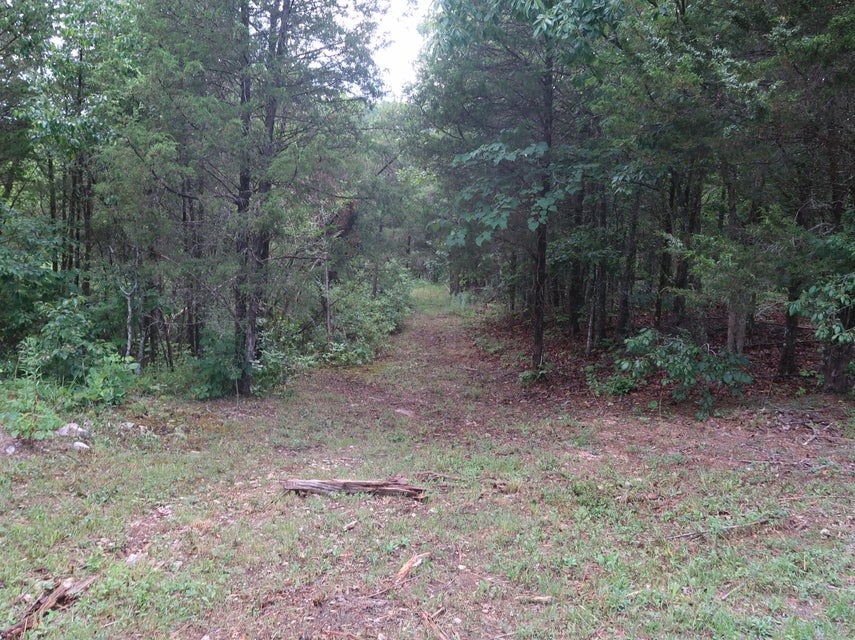 Photo #38: 259 Cedar Valley Rd Road