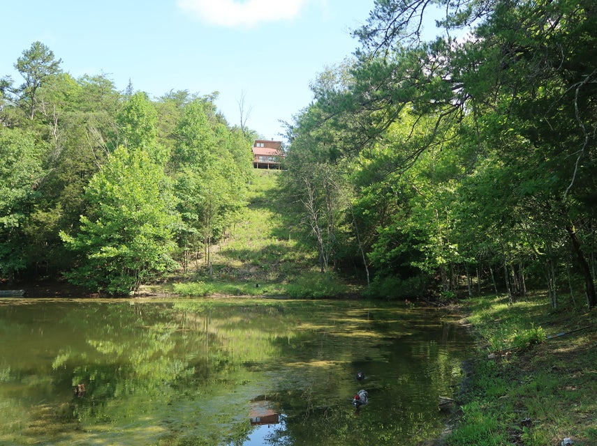 Photo #39: 259 Cedar Valley Rd Road