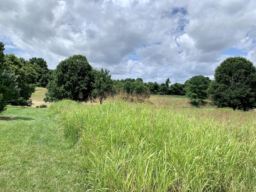 Photo #2: Tbd Lot 73 Highlands Trail
