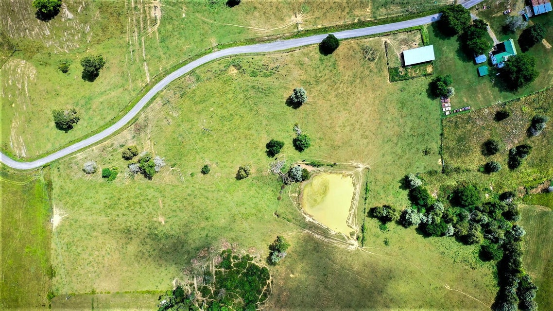 Photo #13: 0000 Young Road