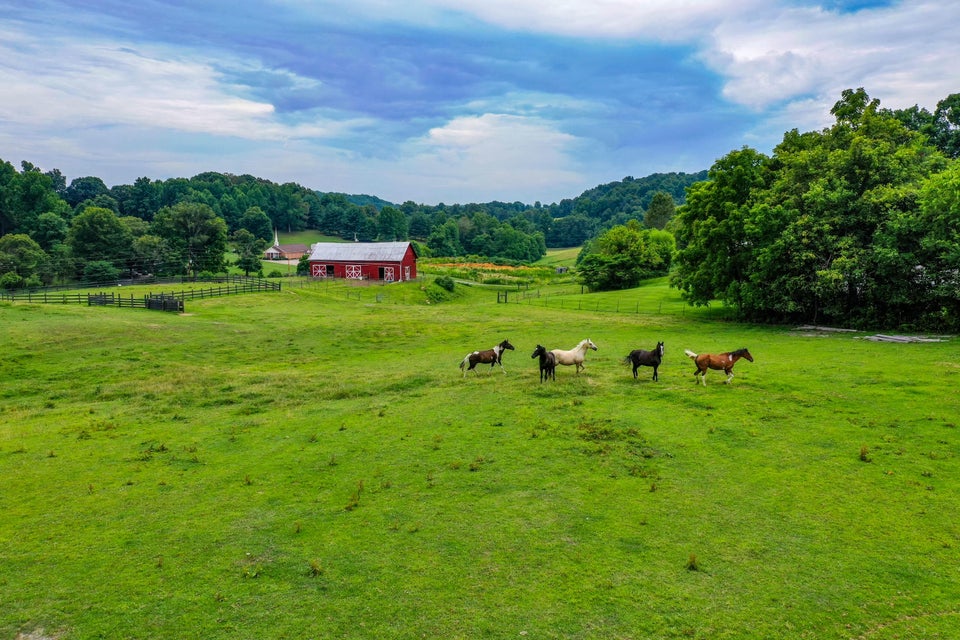 Photo #5: 0 Kingsport Highway