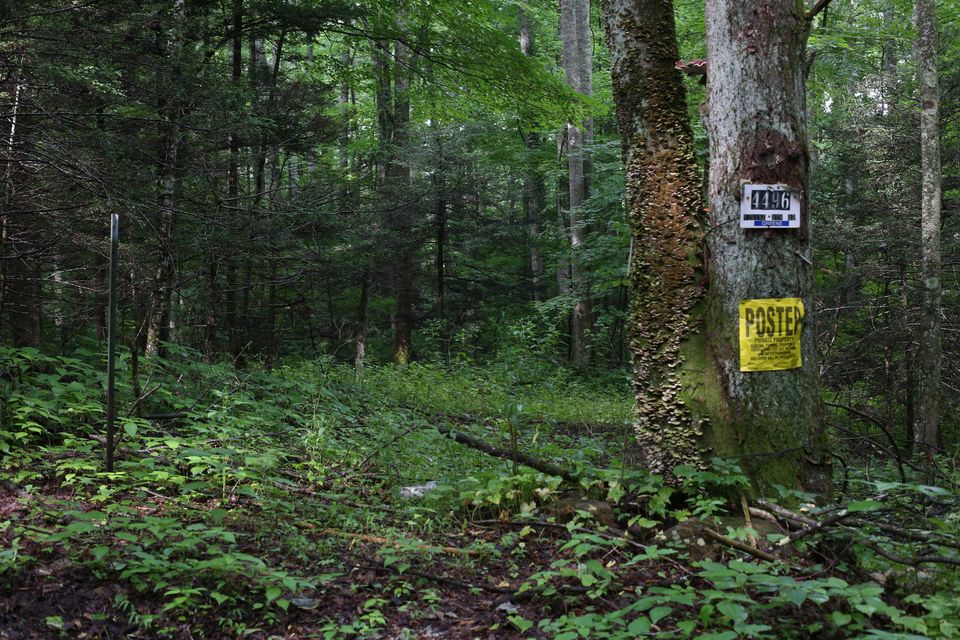 Photo #28: 4496 Viking Mountain Road