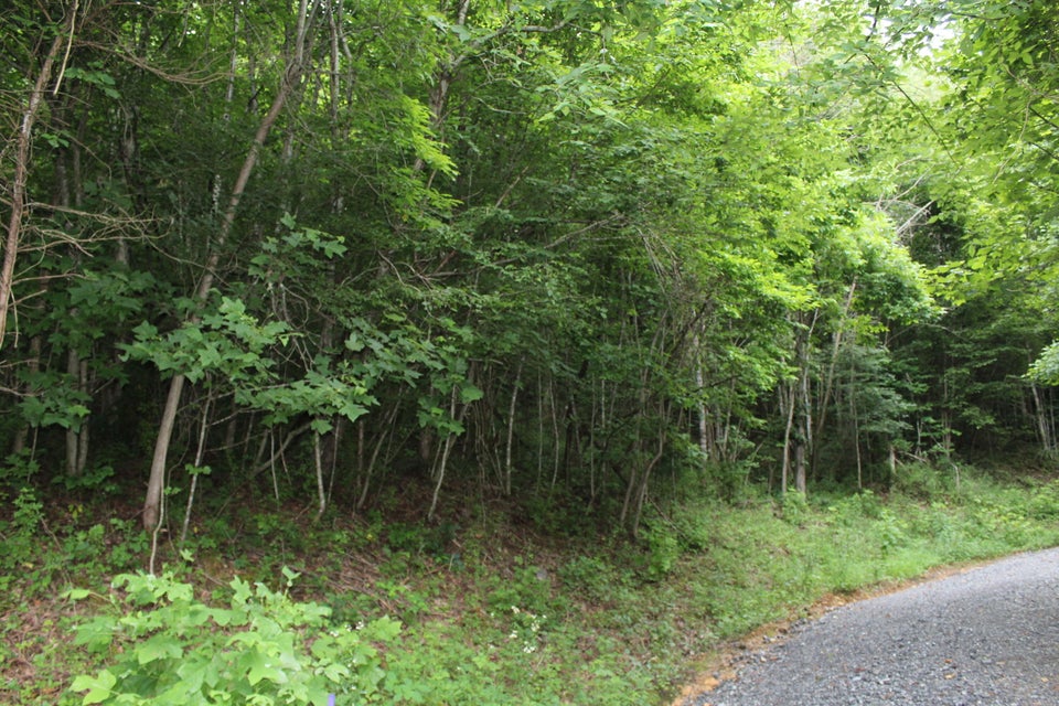 Photo #2: Tbd Long Hollow Rd