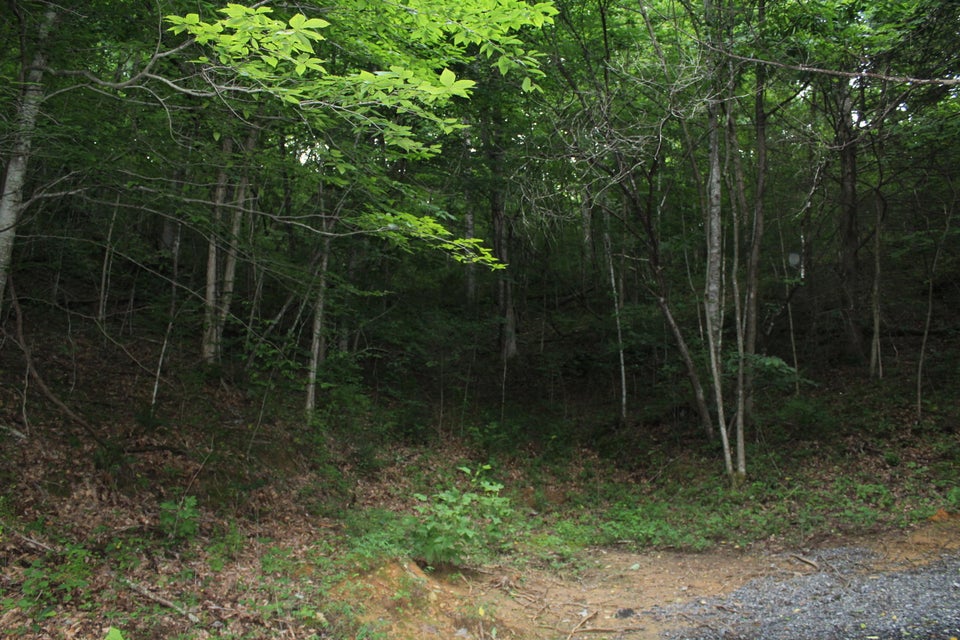 Photo #4: Tbd Long Hollow Rd