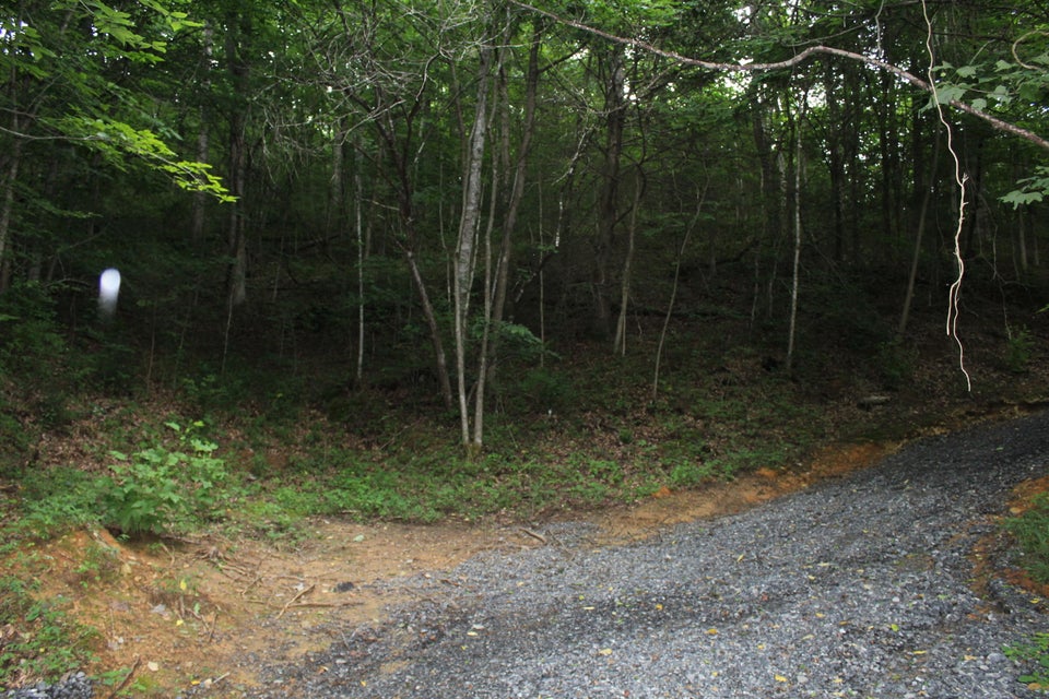 Photo #5: Tbd Long Hollow Rd