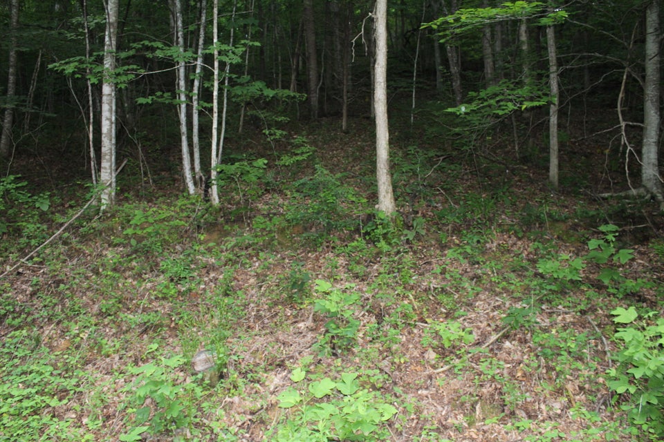 Photo #7: Tbd Long Hollow Rd