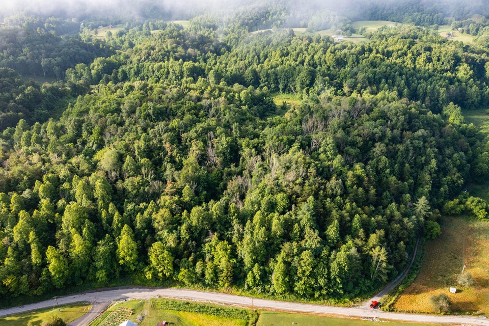 Photo #13: Tbd Ivy Valley Road