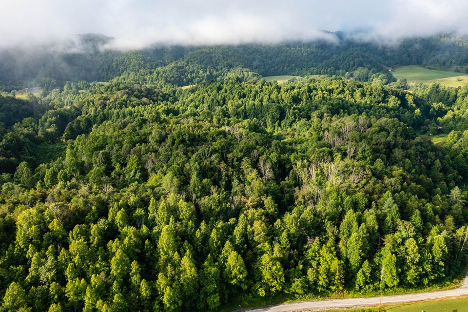 Photo #14: Tbd Ivy Valley Road