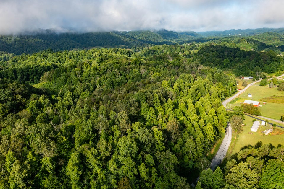 Photo #19: Tbd Ivy Valley Road