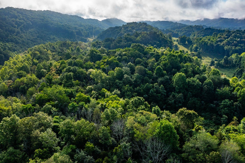 Photo #23: Tbd Ivy Valley Road