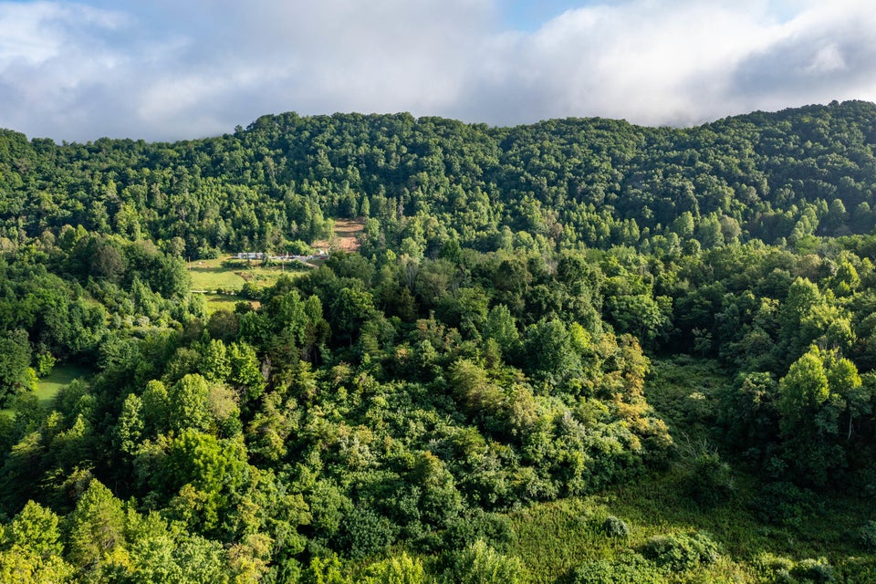 Photo #26: Tbd Ivy Valley Road