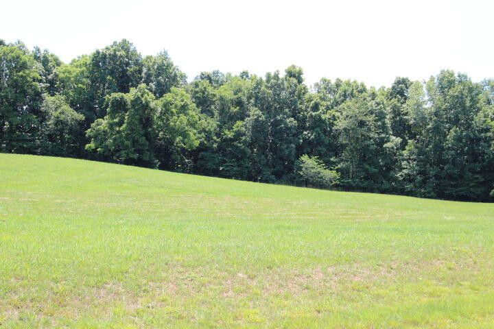 Photo #9: Lot 19 Forest Point
