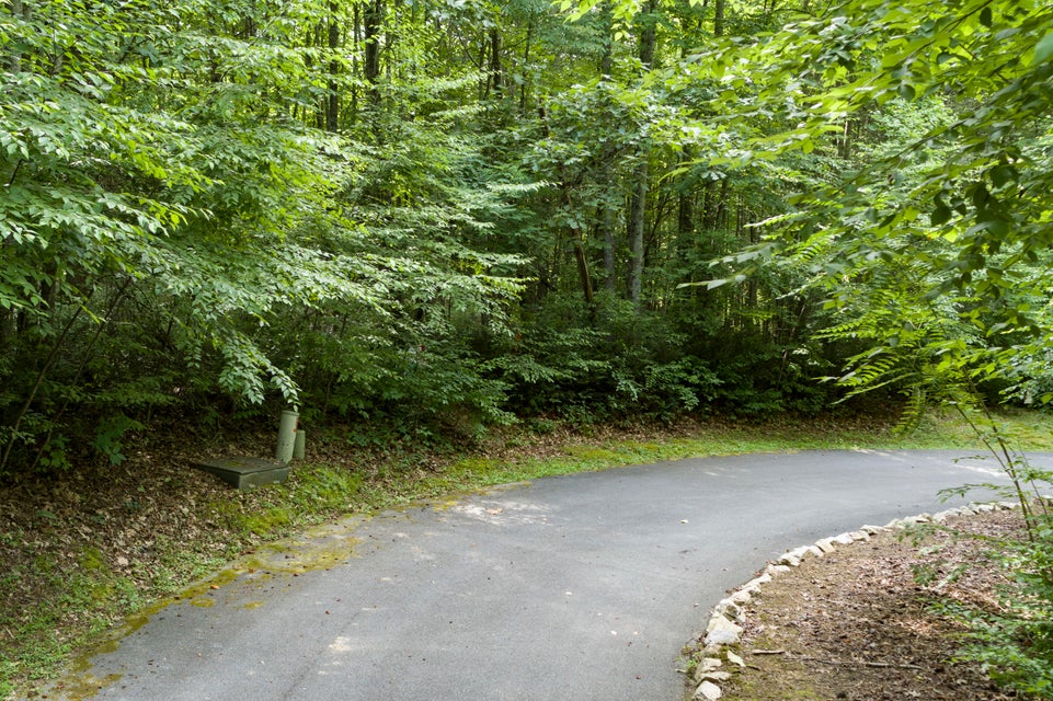 Photo #1: Lot 8 Deer Ridge Drive