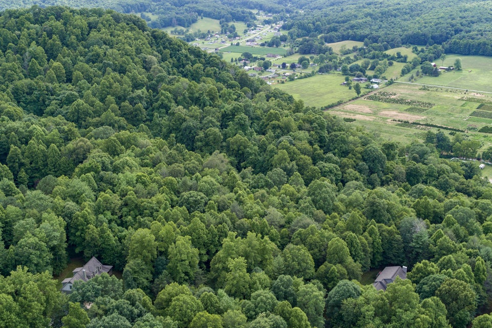Photo #11: Lot 8 Deer Ridge Drive