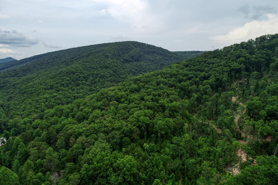 Photo #50: 280 Browns Mountain Road