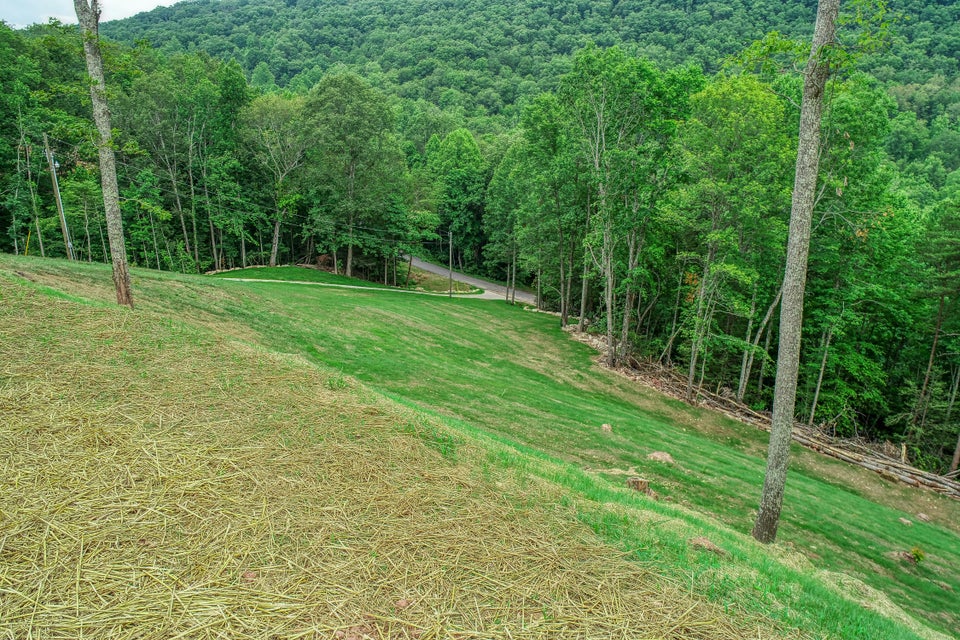Photo #7: 280 Browns Mountain Road