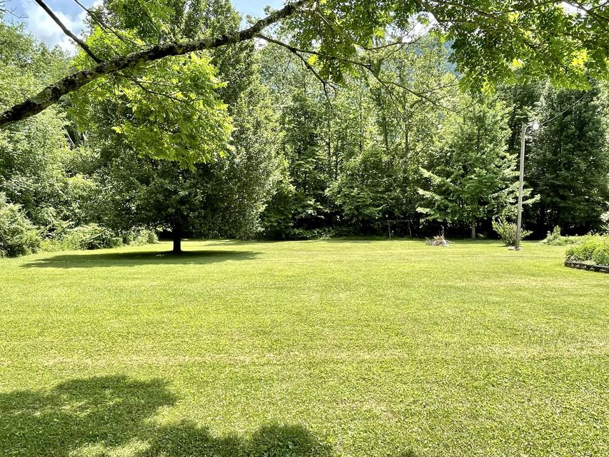 Photo #39: 1124 Irondale Road