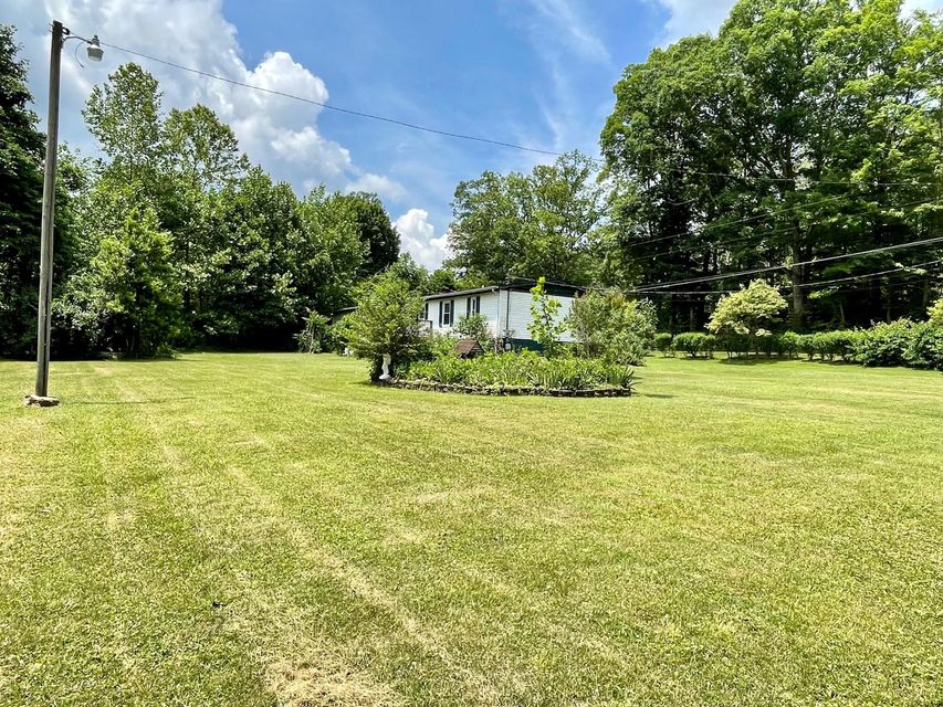 Photo #40: 1124 Irondale Road